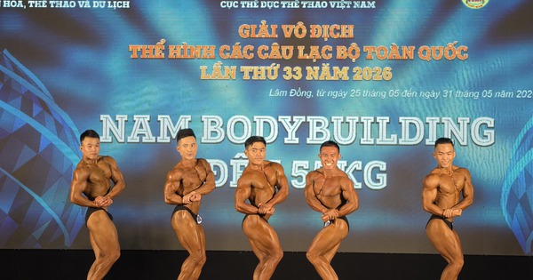Jin88 hỗ trợ 24/7