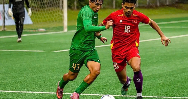 Jin88 cược bóng đá