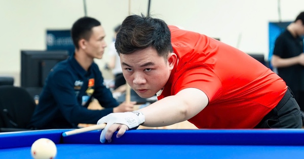 Jin88 cược thể thao