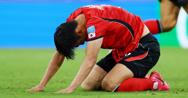 Jin88 cược bóng đá