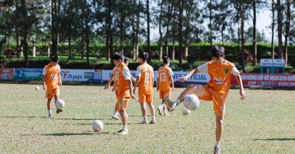 Jin88 tài xỉu